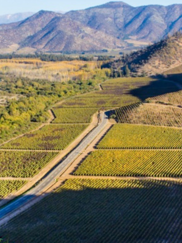 VALLE