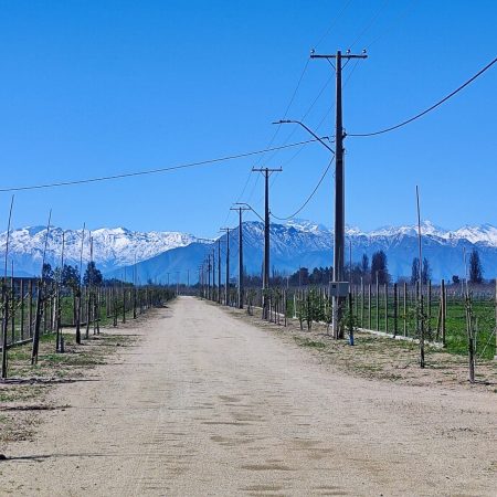 2. Camino cordillera nieve