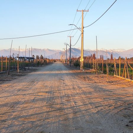 8. Camino cordillera