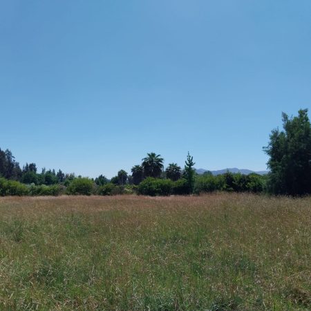 Parcela Condominio las palmeras de Lonquén