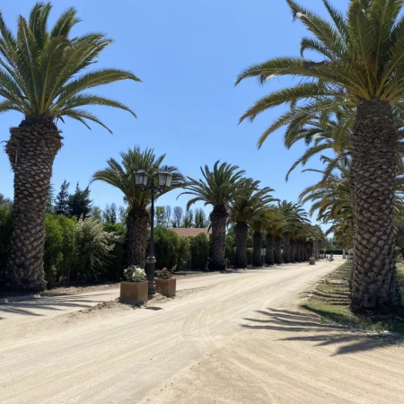 Parcela Condominio las palmeras de Lonquén